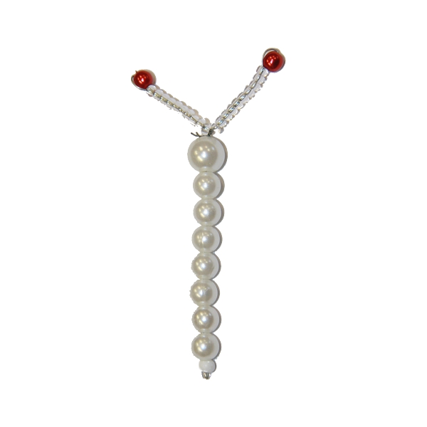 Schmetterlingskörper