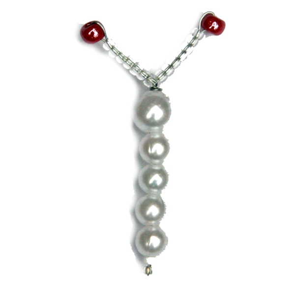 Schmetterlingskörper