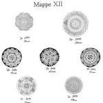 Ostmark Klöppelschätze - Mappe 12 