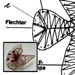 Klöppelbrief Brosche, Haarschmuck 