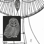 Pattern Owl 