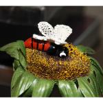 Pattern bee and glass-body 