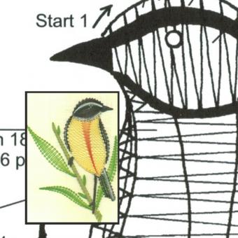 Pattern whinchat 2 