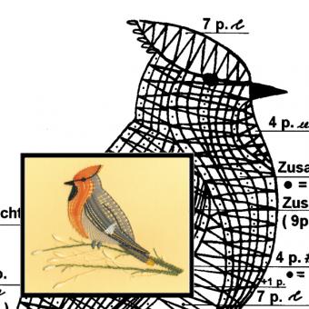 Klöppelbrief Seidenschwanz 