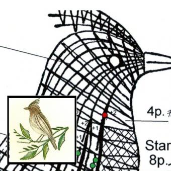 Pattern Crested Lark 