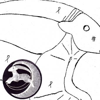 Pattern Capricornus (Ø: 12 cm) 