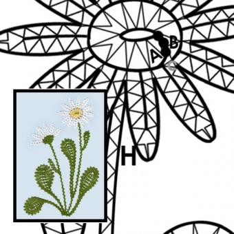 Pattern Marguerite 