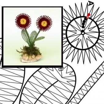 Pattern Bellis in 3D look 