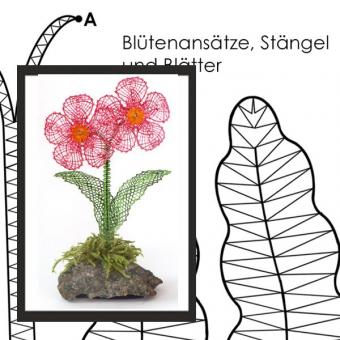 pattern primrose in 3D look 
