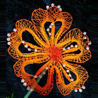 pattern autumn flower 