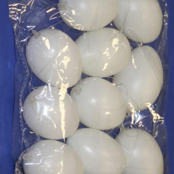 Plastic Eggs white 