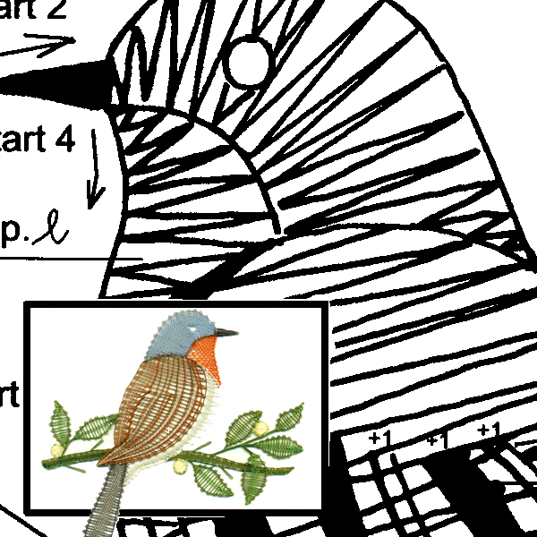 Pattern pygmy flycatcher 