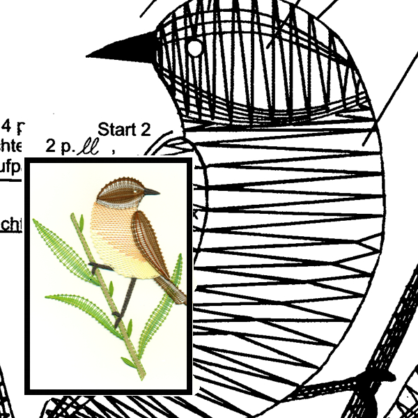 Pattern whinchat 