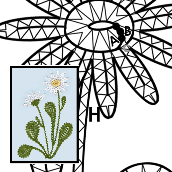 Pattern Marguerite 