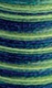 amazone (509) 